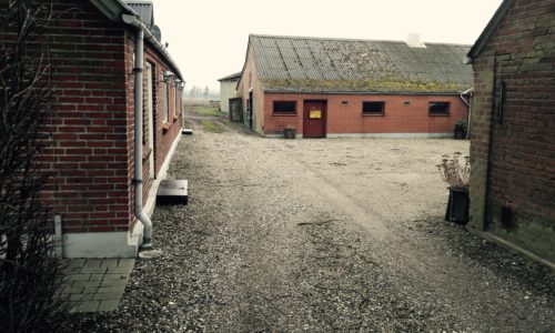 Bækkevang Bækkevang